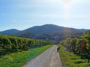 pohoří Schwarzwald